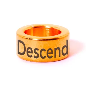 Descendant NOTCH Charm