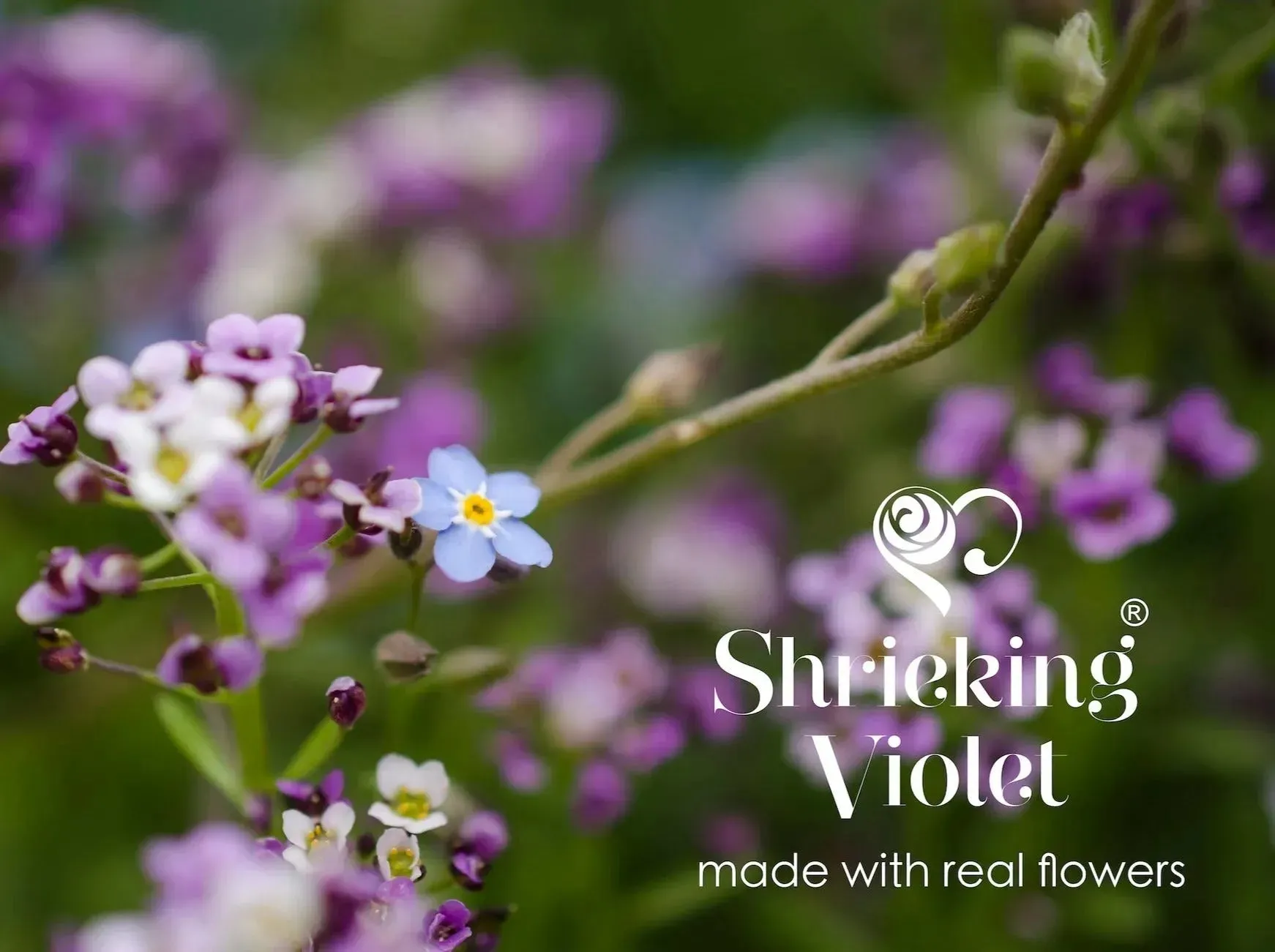 Silver Drop Heart Earrings with tiny purple Flowers by Shrieking Violet